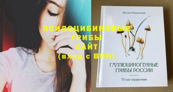 а пвп мука Армянск