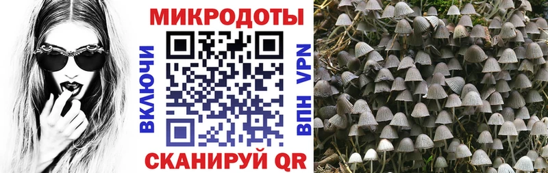 omg онион  Касли  Псилоцибиновые грибы мухоморы  где найти наркотики 